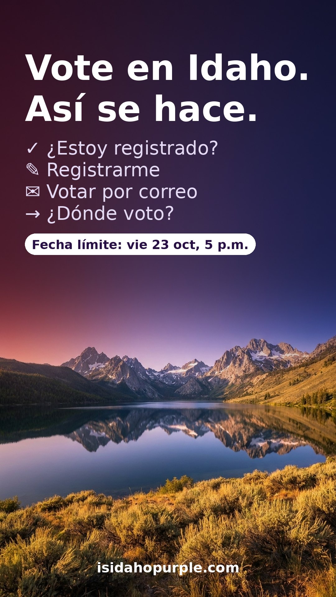 Cómo votar